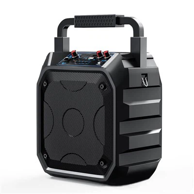 মাইক্রোফোন সহ পোর্টেবল ব্লুটুথ স্পিকার