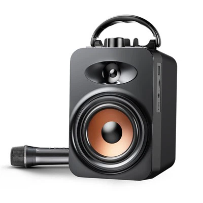 মাইক্রোফোন সহ পোর্টেবল কারাওকে স্পিকার